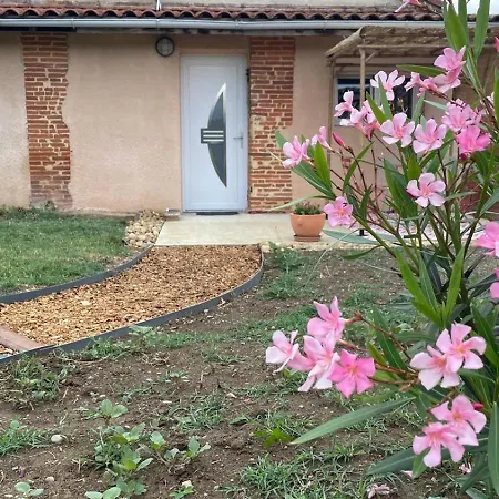 Le De Cousal *