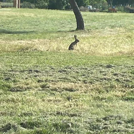 Le De Cousal 度假居 Esperce