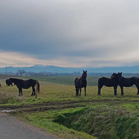 Le De Cousal Esperce