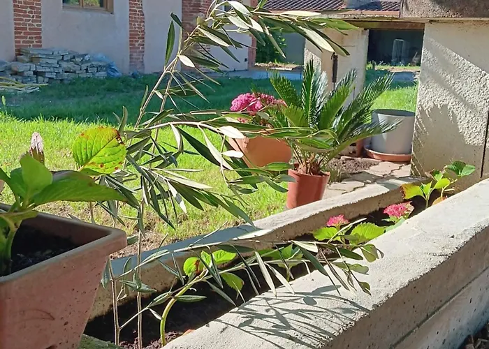 Σπίτι διακοπών Le De Cousal Esperce