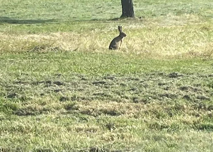 Le De Cousal Hébergement de vacances Esperce