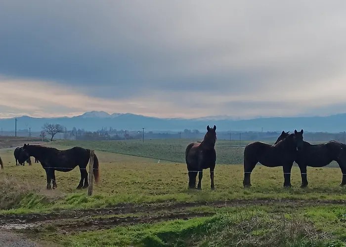 Le De Cousal Esperce